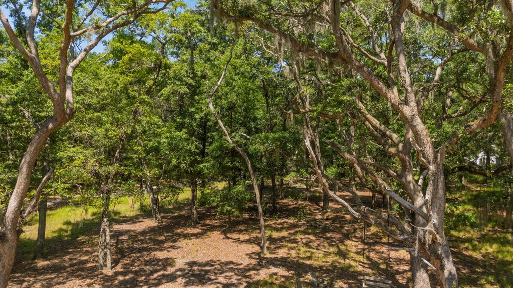 Photo of 31 Tupelo Trail, Edisto Island, SC 29438 (MLS # 25017171)