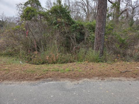 0 Mitten Road Moncks Corner SC 29461