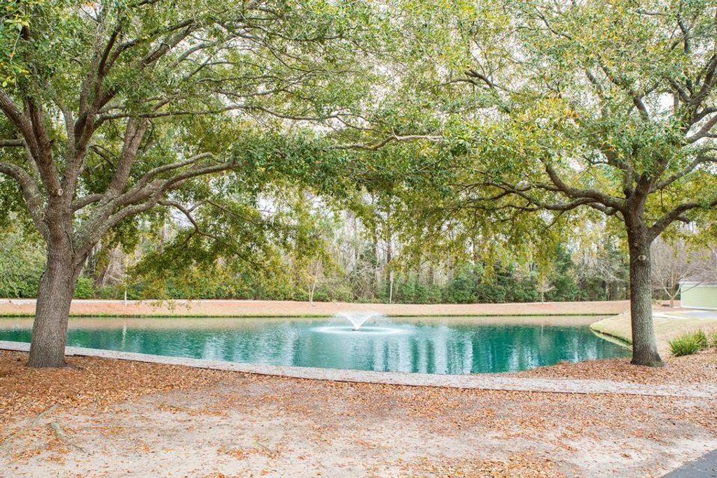 Photo of 2322 Chatelain Way, Mount Pleasant, SC 29464 (MLS # 26003298)