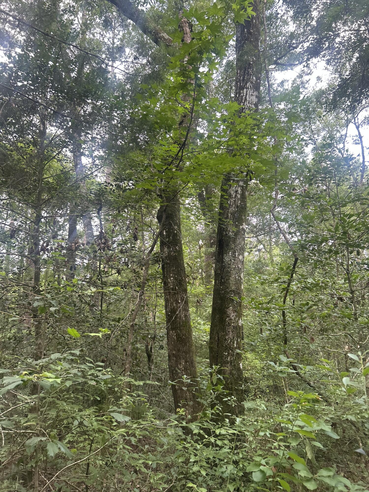 2 Boat Landing Road