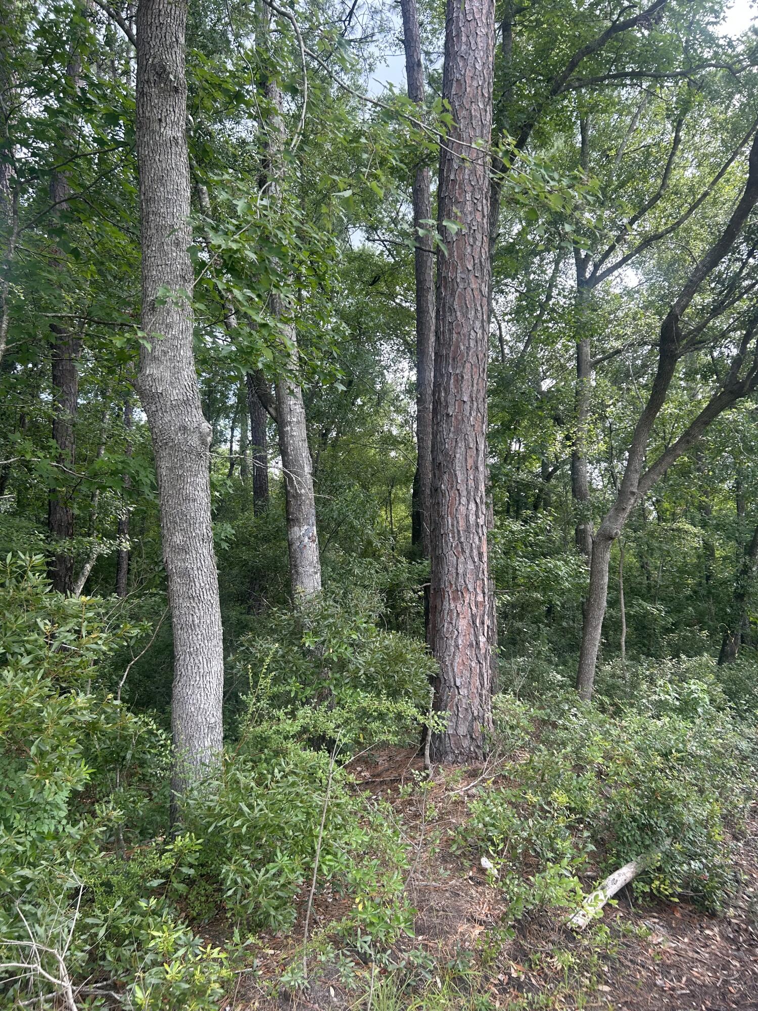 2 Boat Landing Road