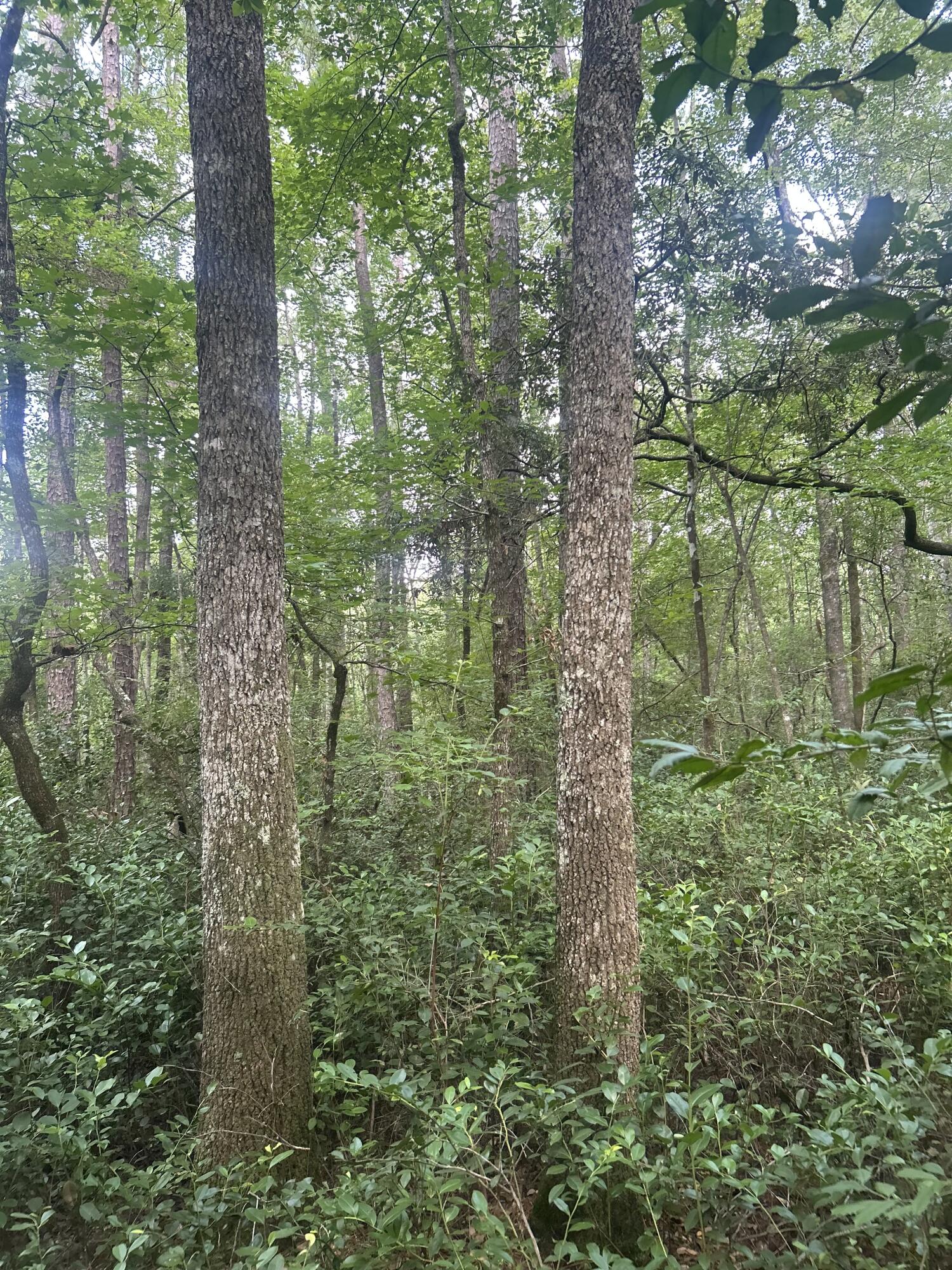 2 Boat Landing Road