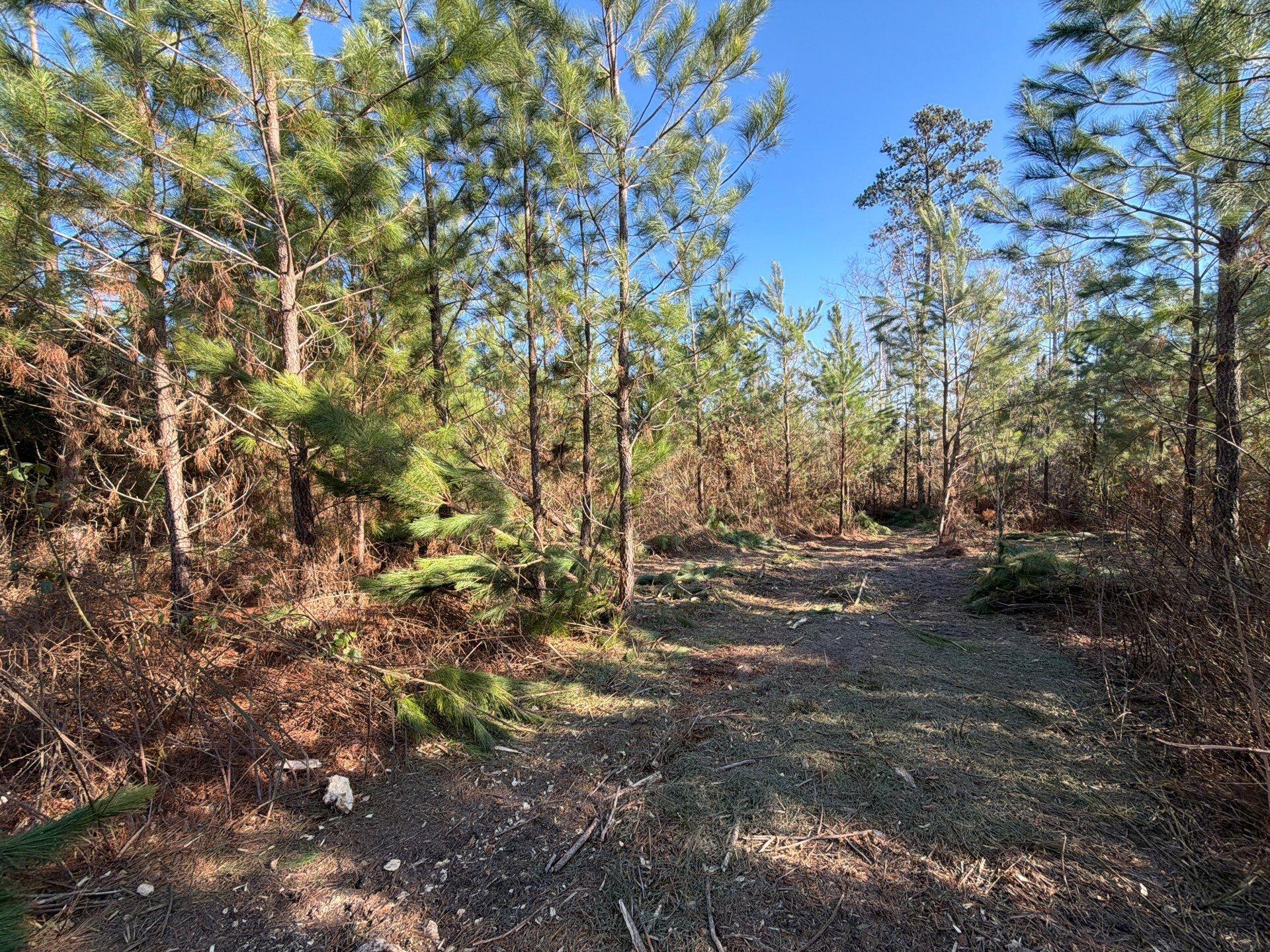 Bff Ii 6 Brunson Teal Rd Road