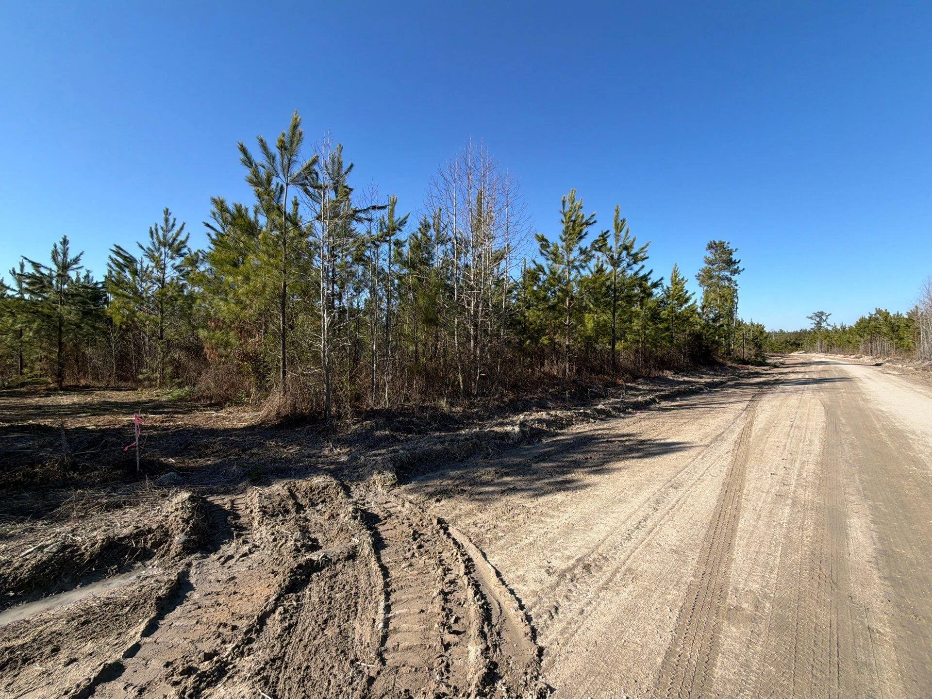 Bff Ii 6 Brunson Teal Rd Road, Patrick, SC, 29584