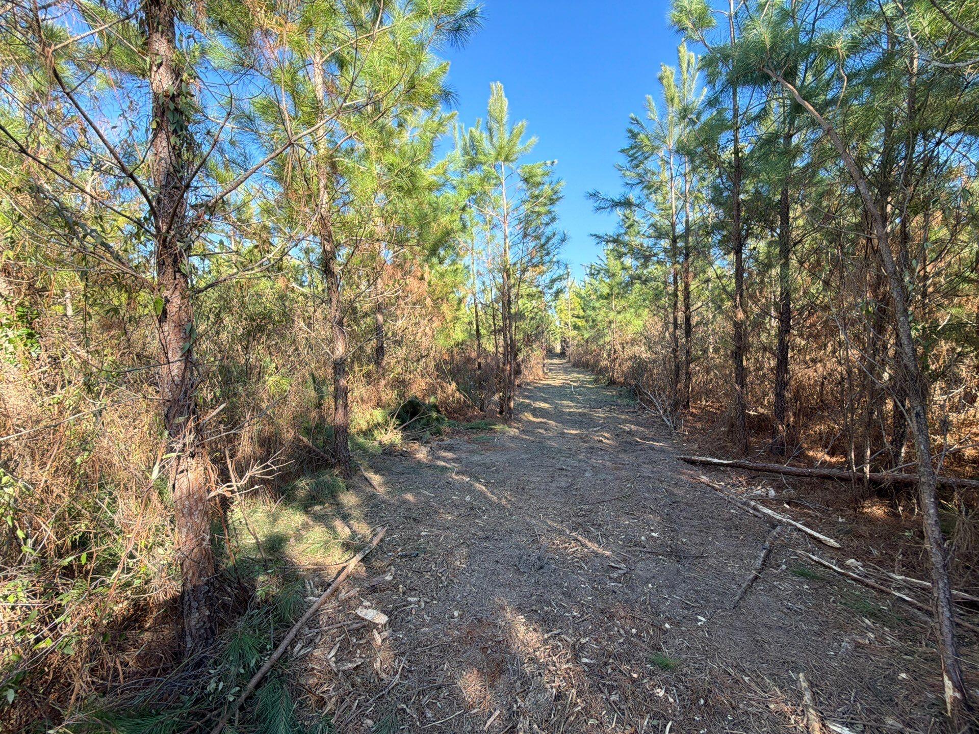 Bff Ii 6 Brunson Teal Rd Road