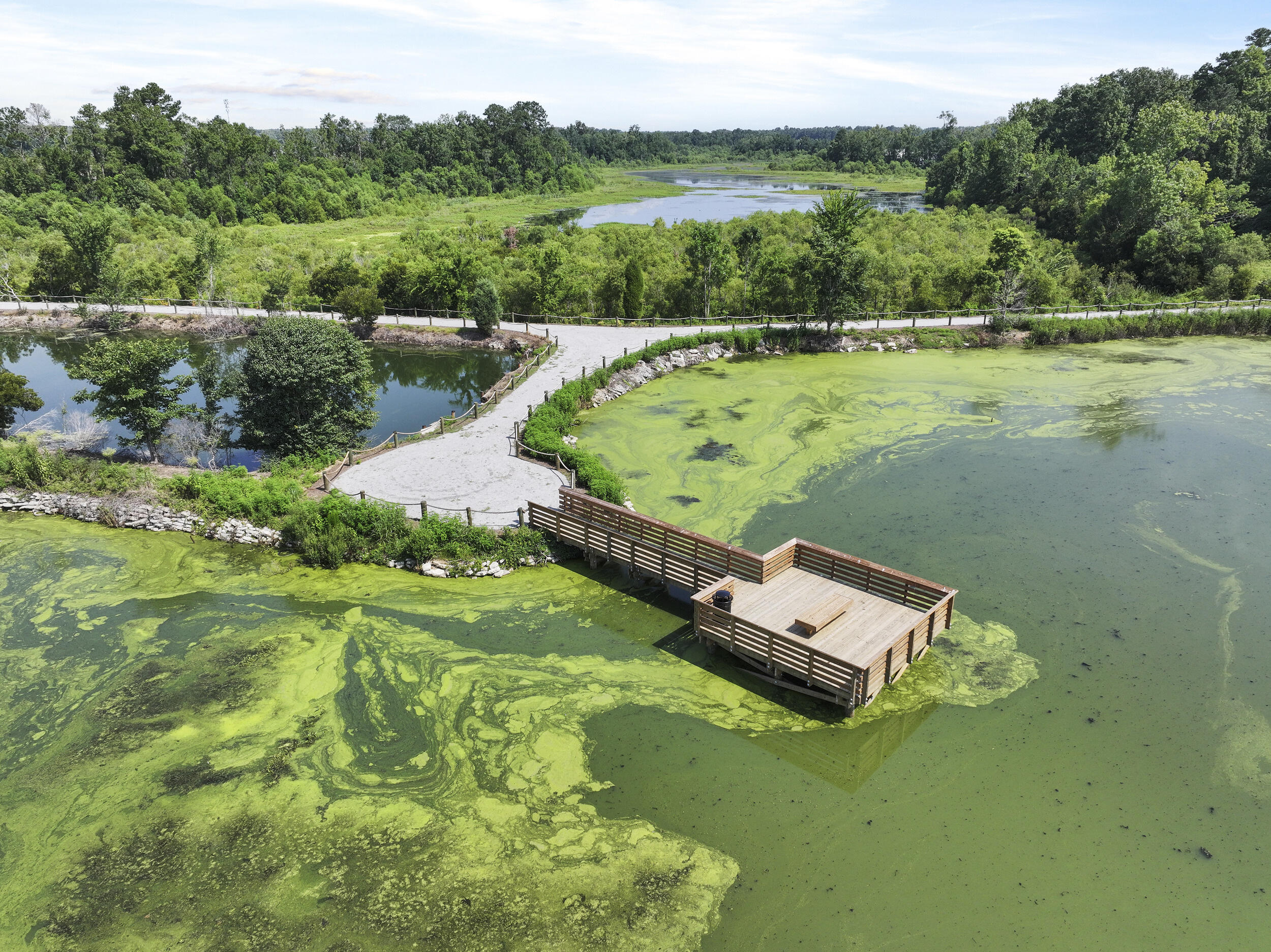 409 Tulip Poplar Drive