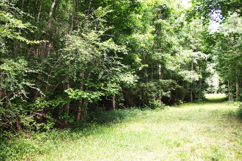 Photo of 0 Kitfield Road, Moncks Corner, SC 29461 (MLS # 26014555)