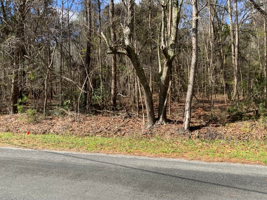 5037 DOCTOR TAYLOR ROAD, ADAMS RUN, SC 29426 - Image 2d3d9d4e8f1cf648ca5bd1b182dba5c0/3174958924