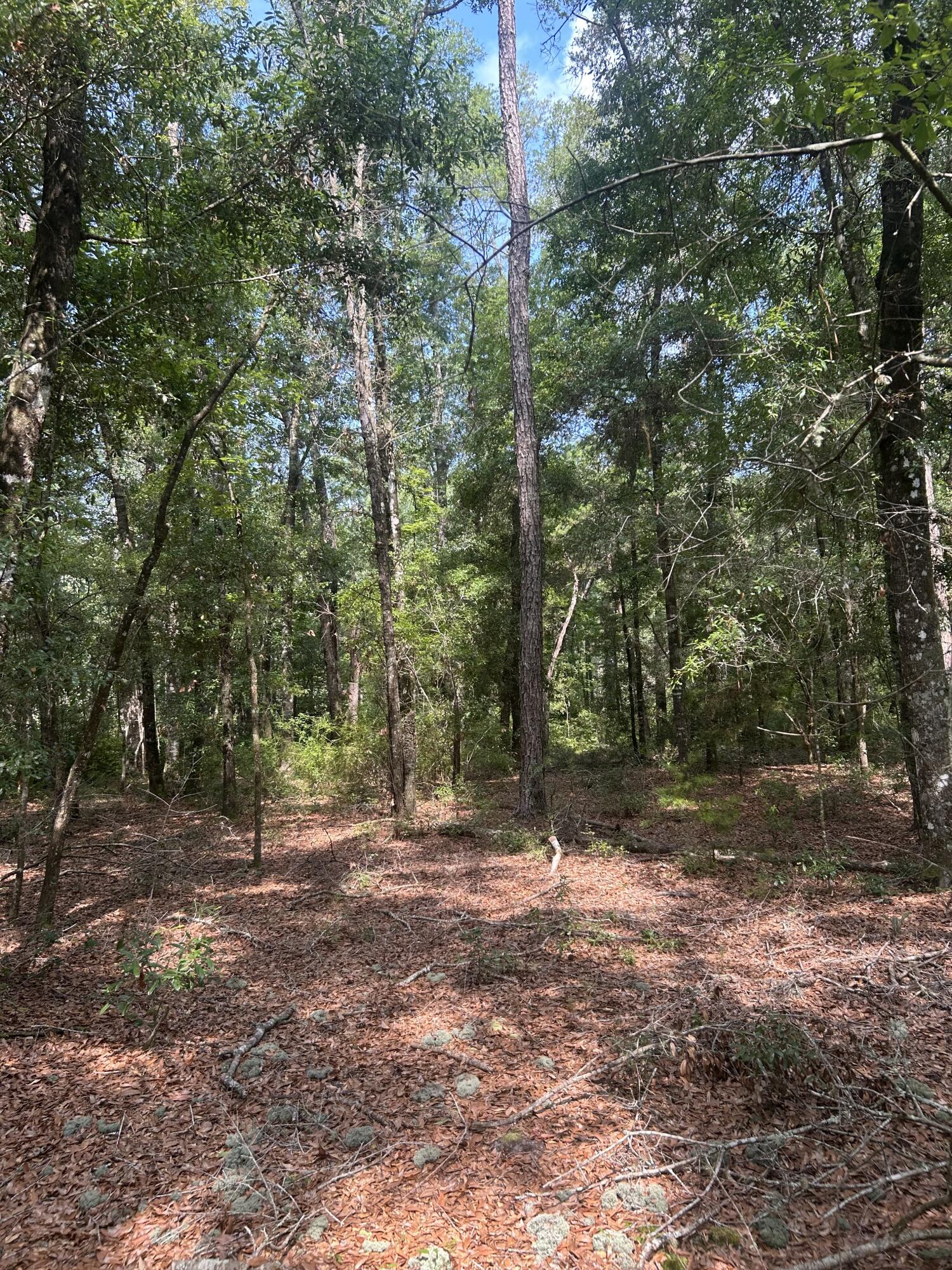 0 Boat Landing Road