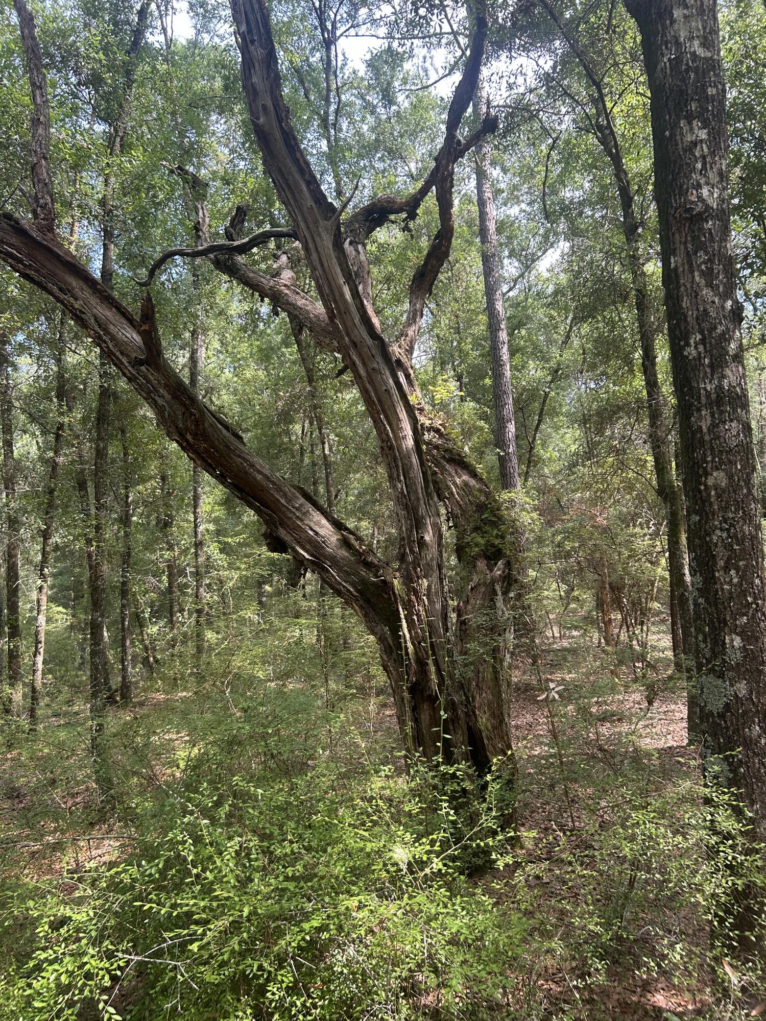 0 Boat Landing Road