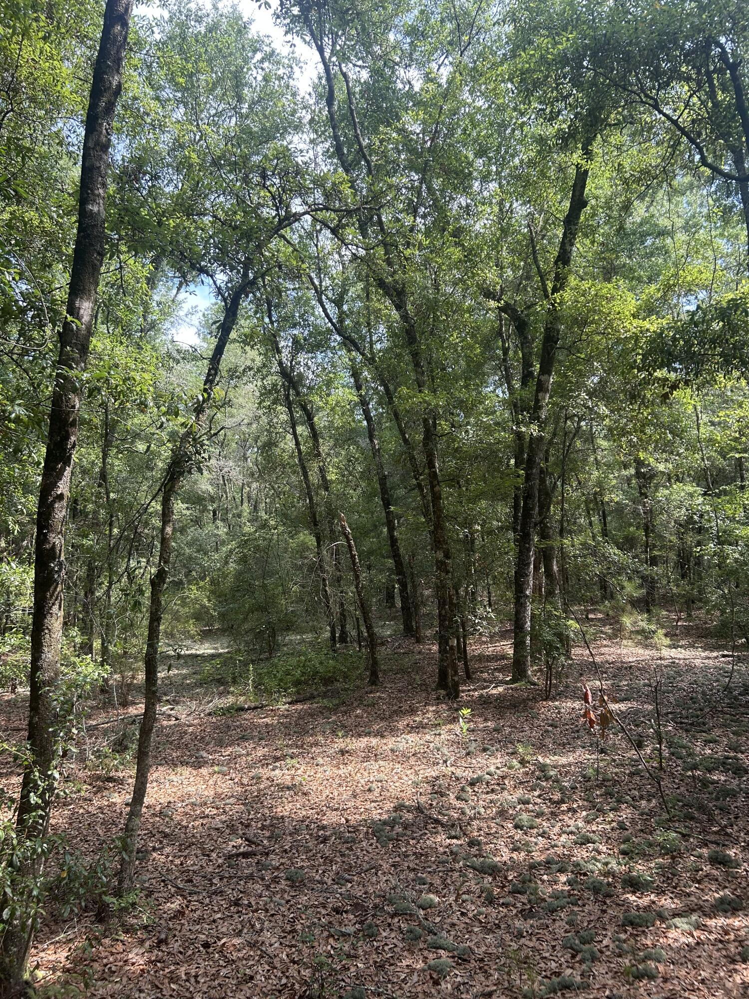 0 Boat Landing Road