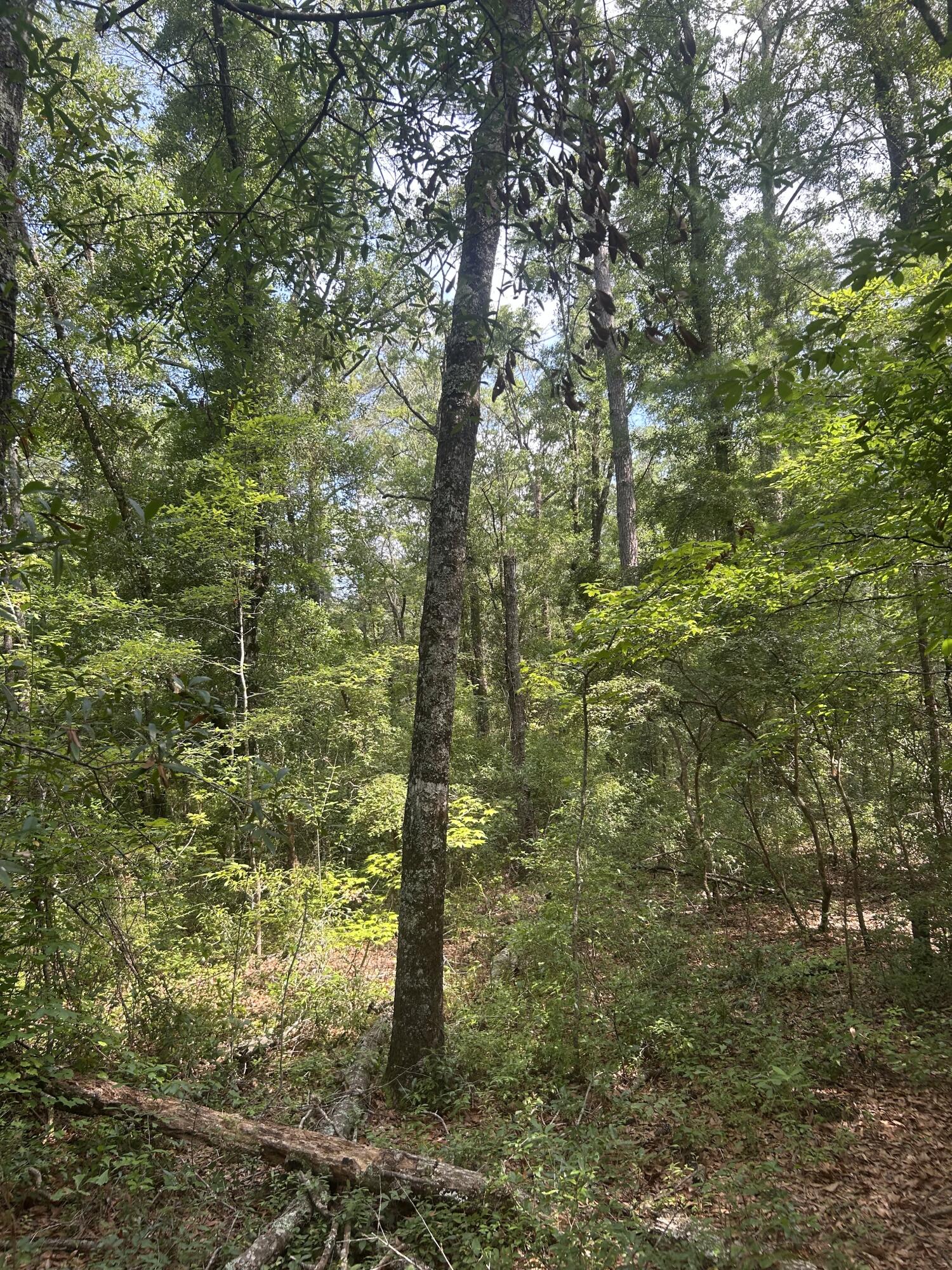 0 Boat Landing Road