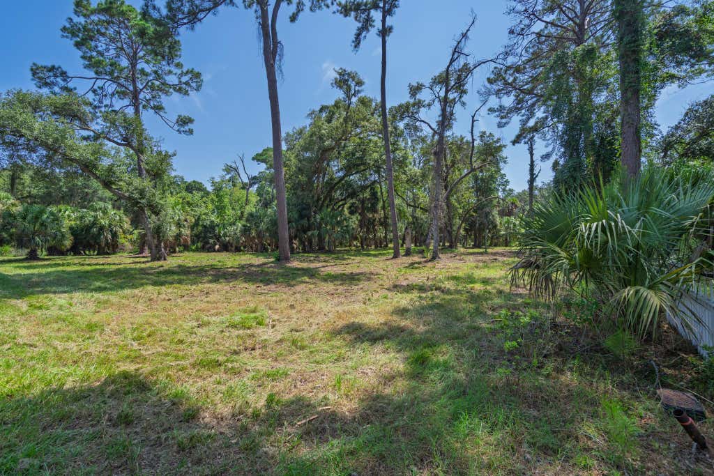 Photo of 0 Palmetto Road, Edisto Island, SC 29438 (MLS # 26023434)