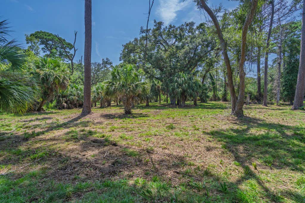 Photo of 0 Palmetto Road, Edisto Island, SC 29438 (MLS # 26023434)