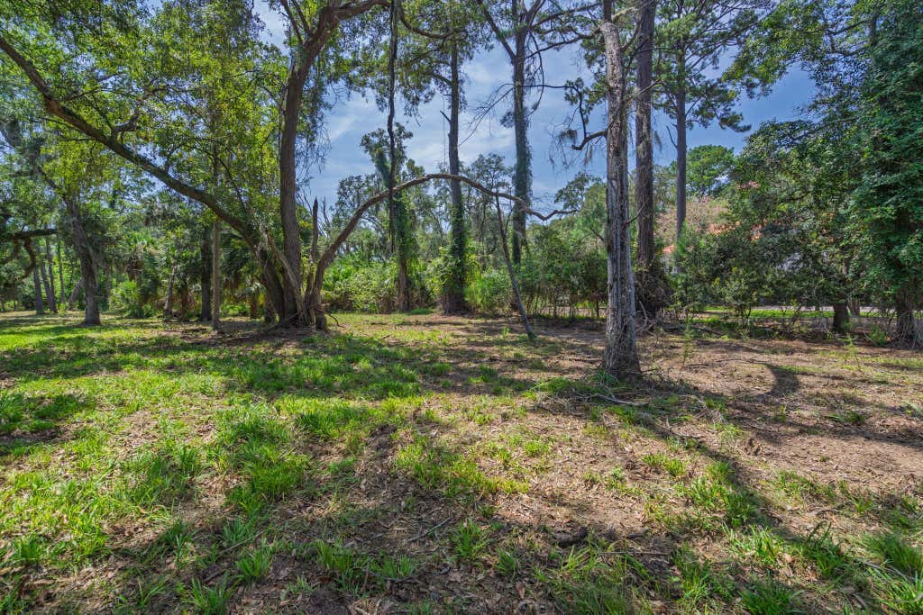 Photo of 0 Palmetto Road, Edisto Island, SC 29438 (MLS # 26023434)