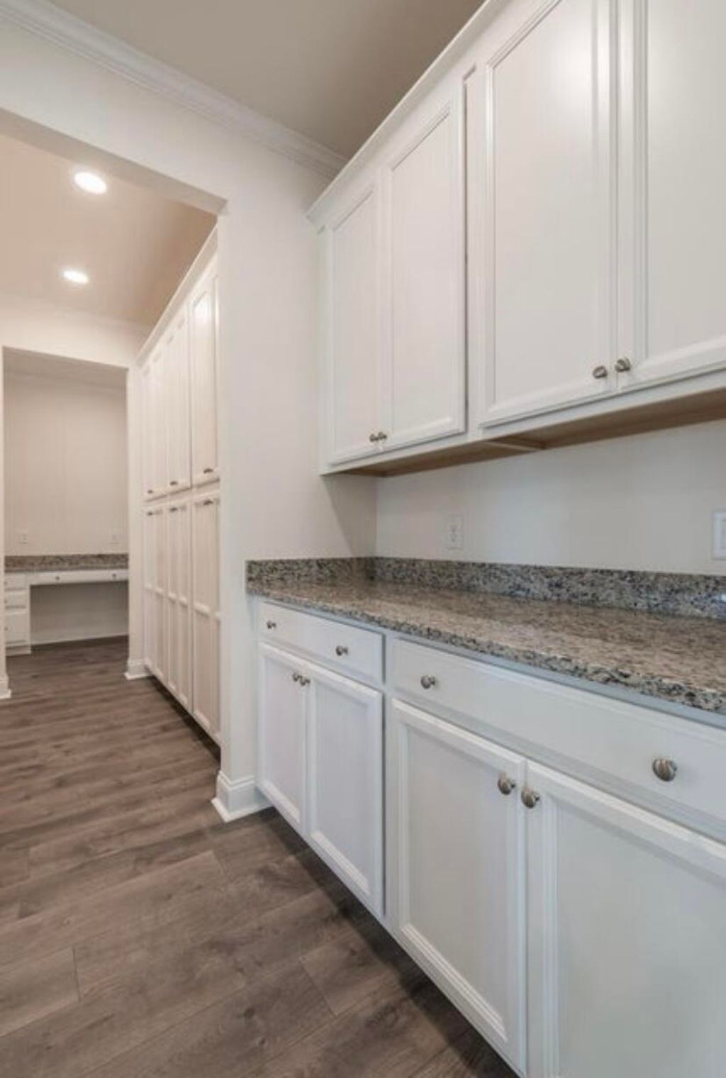 Photo of 1056 Red Turnstone Run, Summerville, SC 29485 (MLS # 26003745)