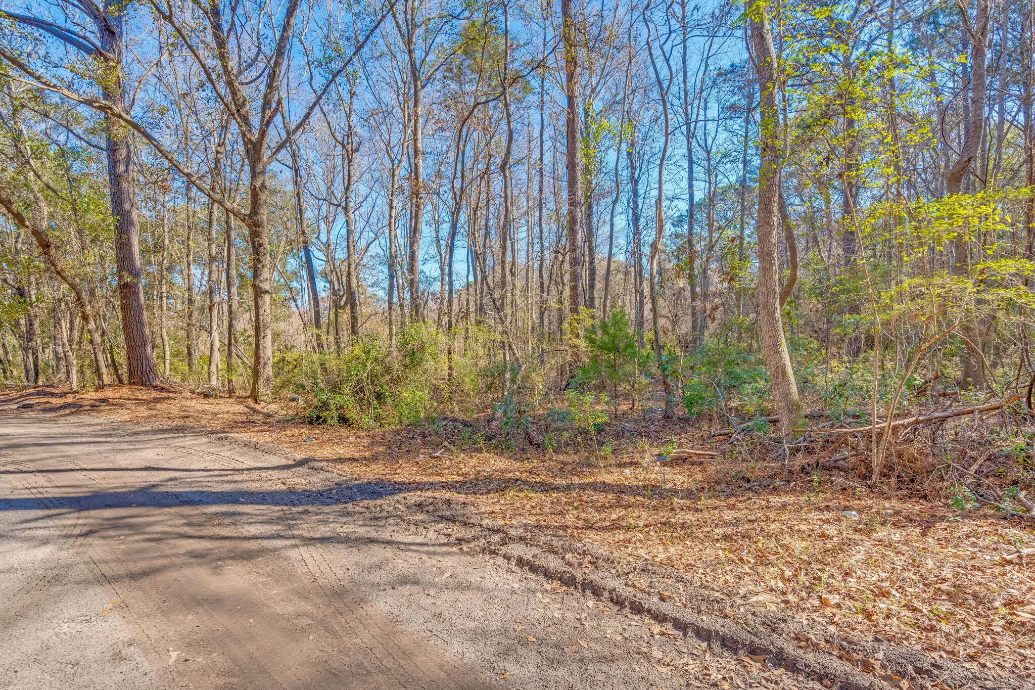3149 Thomas Jones Road
