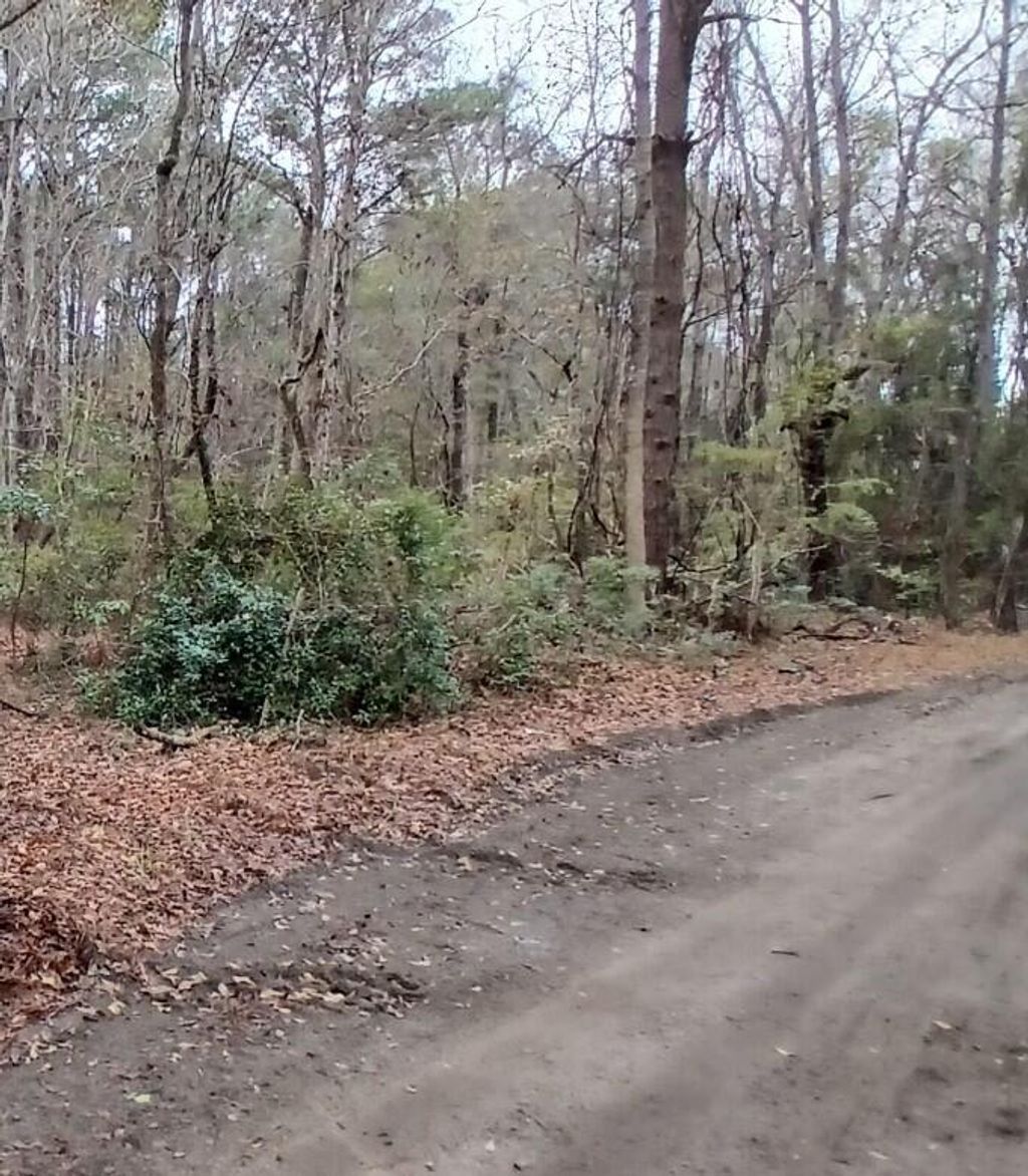 Photo of 3149 Thomas Jones Road, Johns Island, SC 29455 (MLS # 26003568)