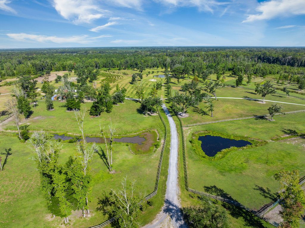 Photo of 8275 Highway 165 Hwy, Ravenel, SC 29470 (MLS # 25025917)
