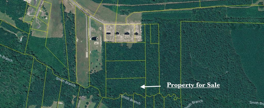 Photo of 252 Droze Lane, Summerville, SC 29486 (MLS # 26006808)