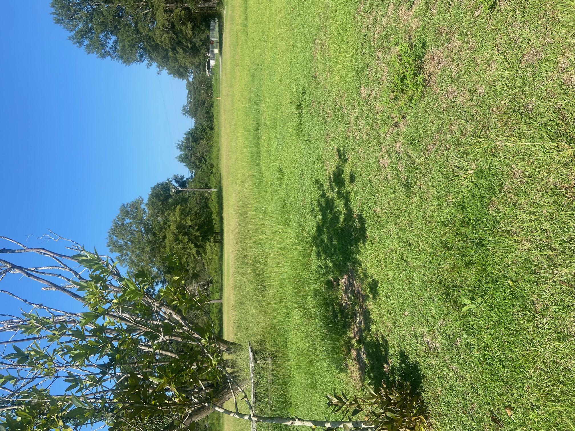 00 Spring Plains Rd