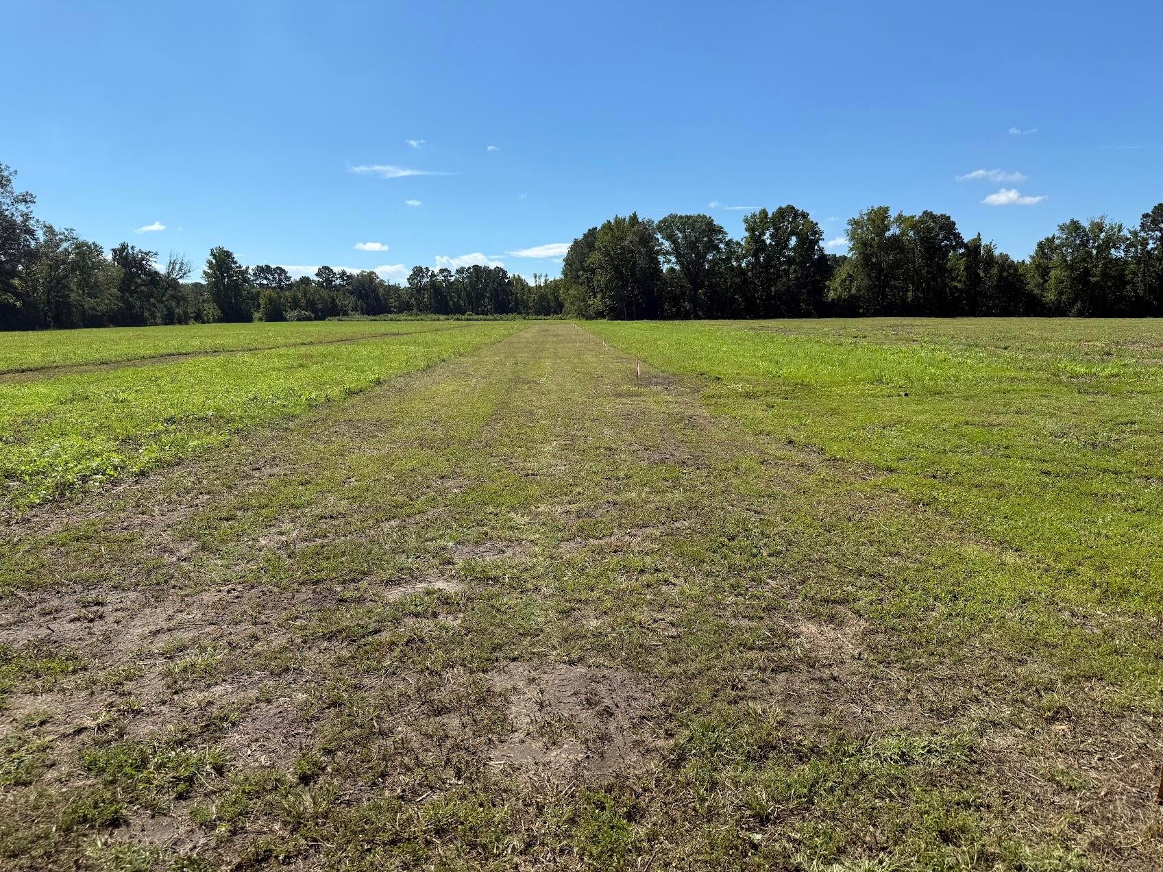 15828 Ace Basin (Lot#2) Parkway