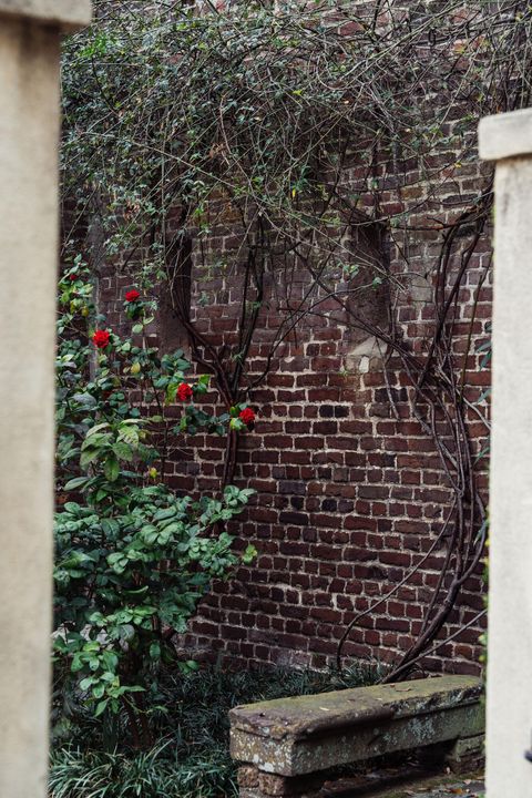 A home in Charleston