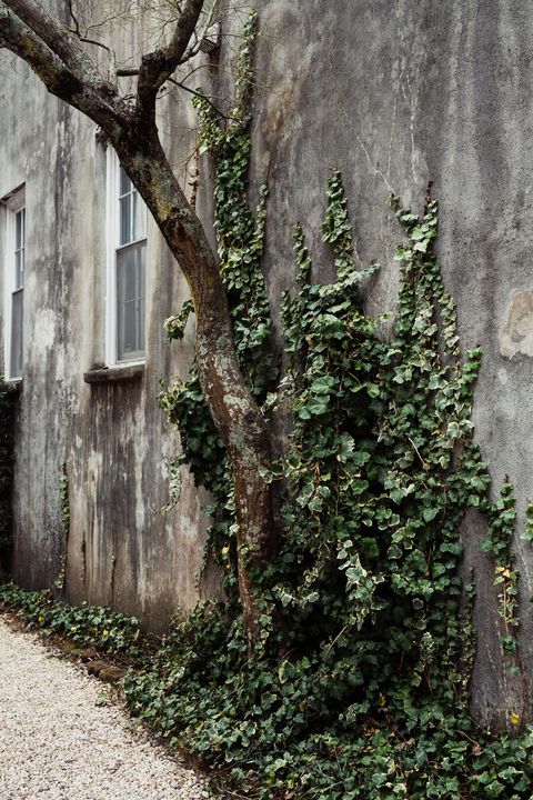 A home in Charleston