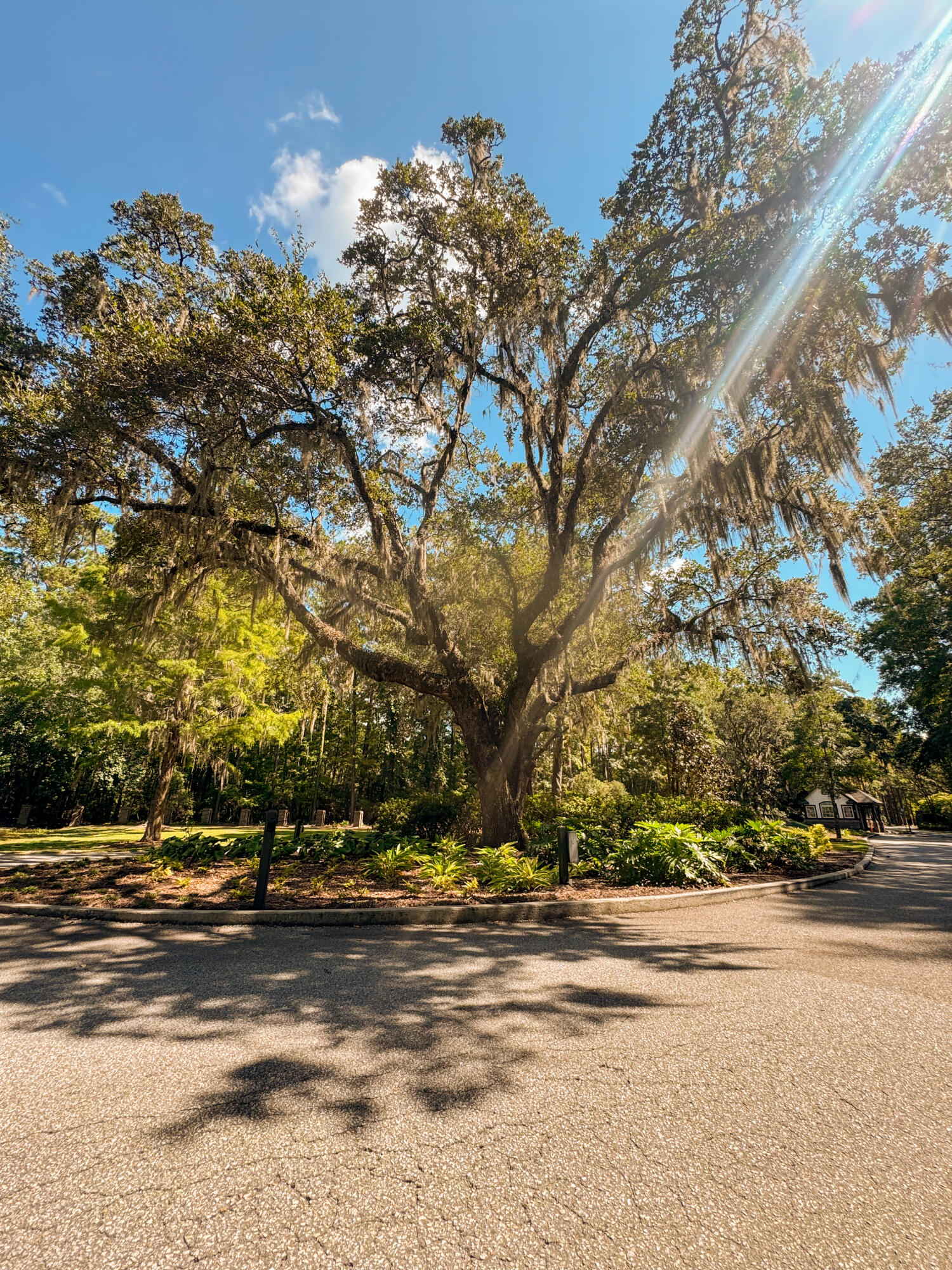 212 Bull Point Drive