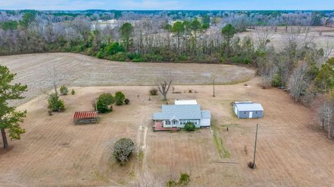 A home in Reevesville