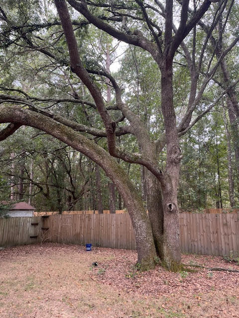 209 Salterton Street