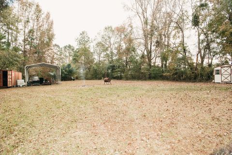 A home in Islandton