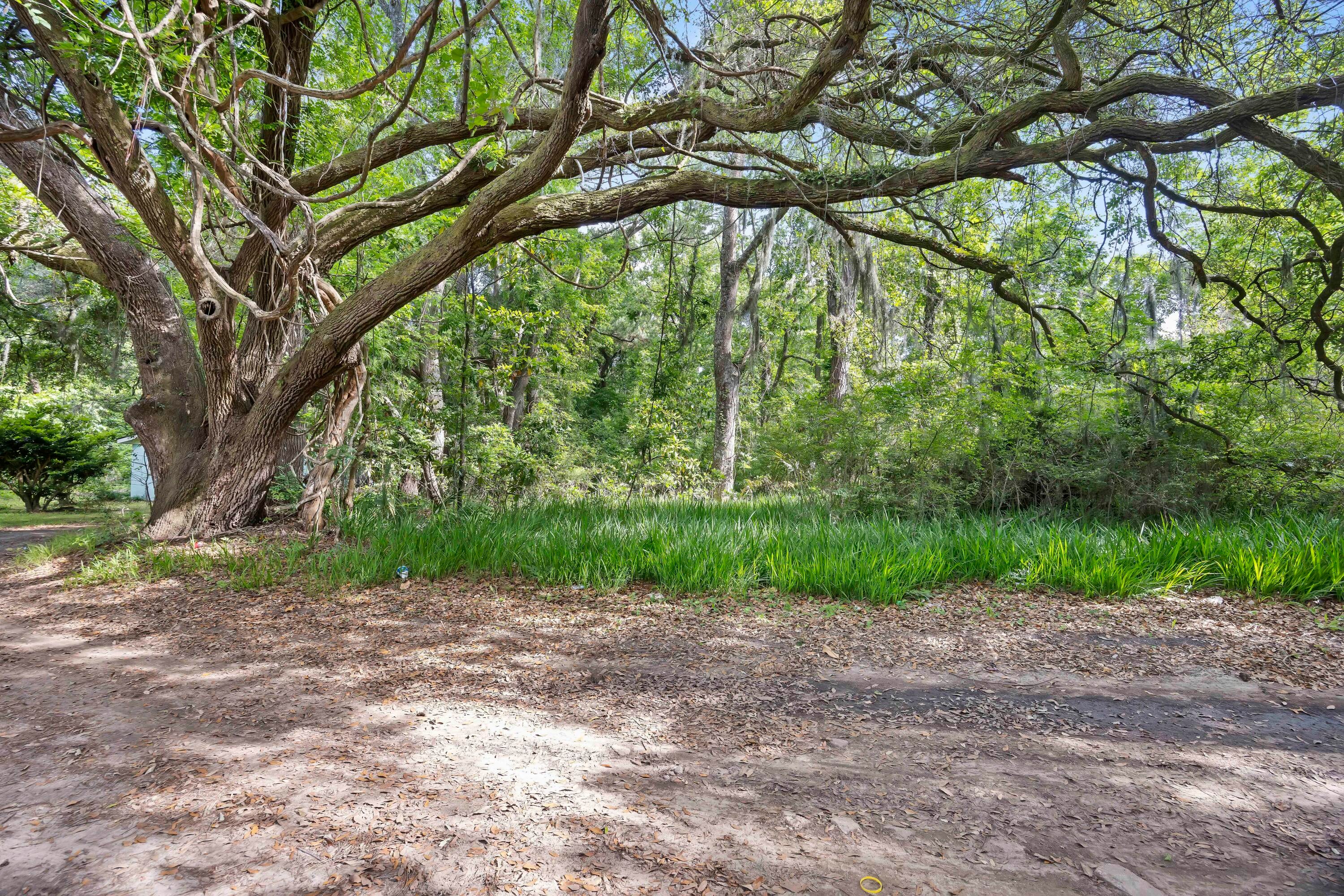 2496 Boy Scout Road, Wadmalaw Island, SC, 29487