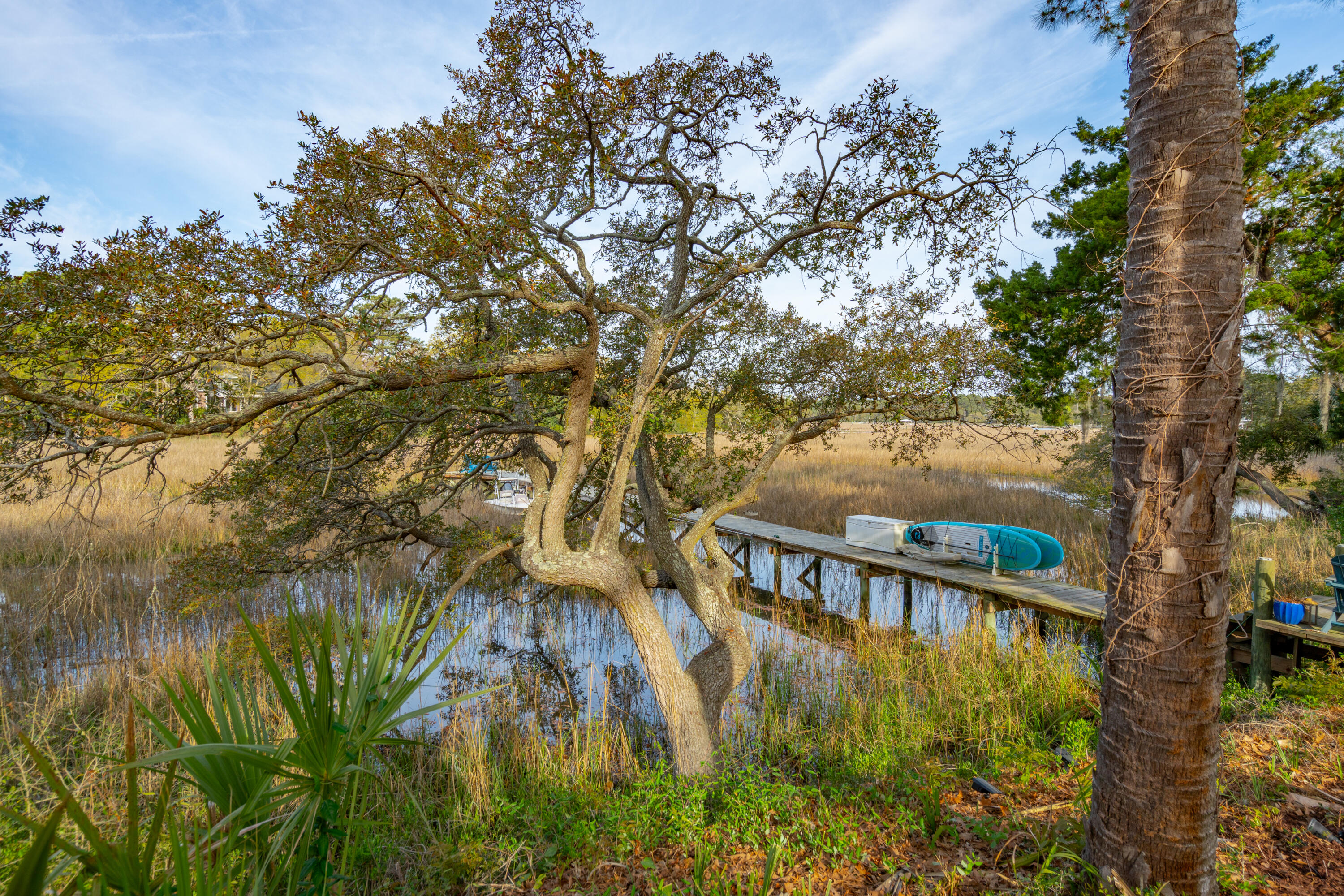 630 Cain Drive