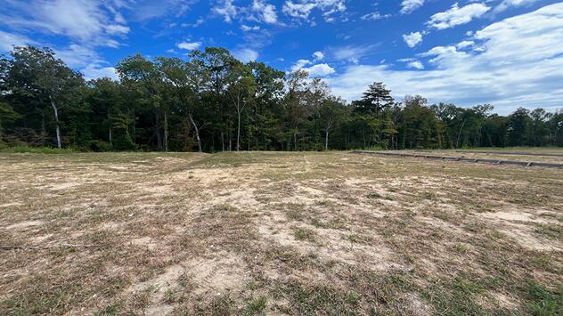 446 Tulip Poplar Drive