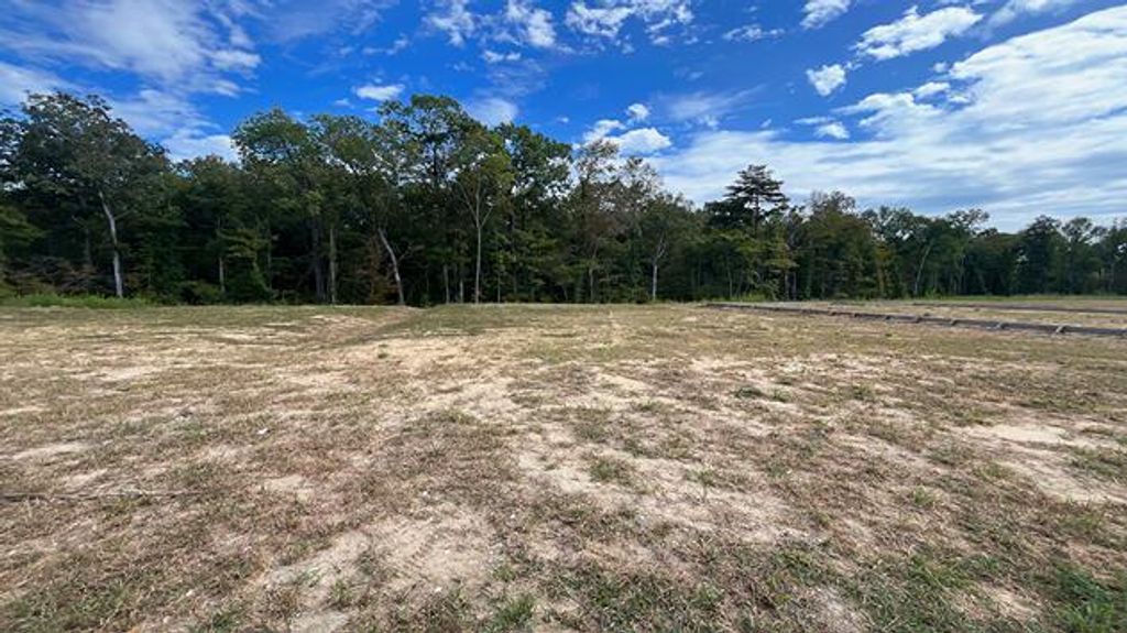 Photo of 446 Tulip Poplar Drive, Moncks Corner, SC 29461 (MLS # 25026643)