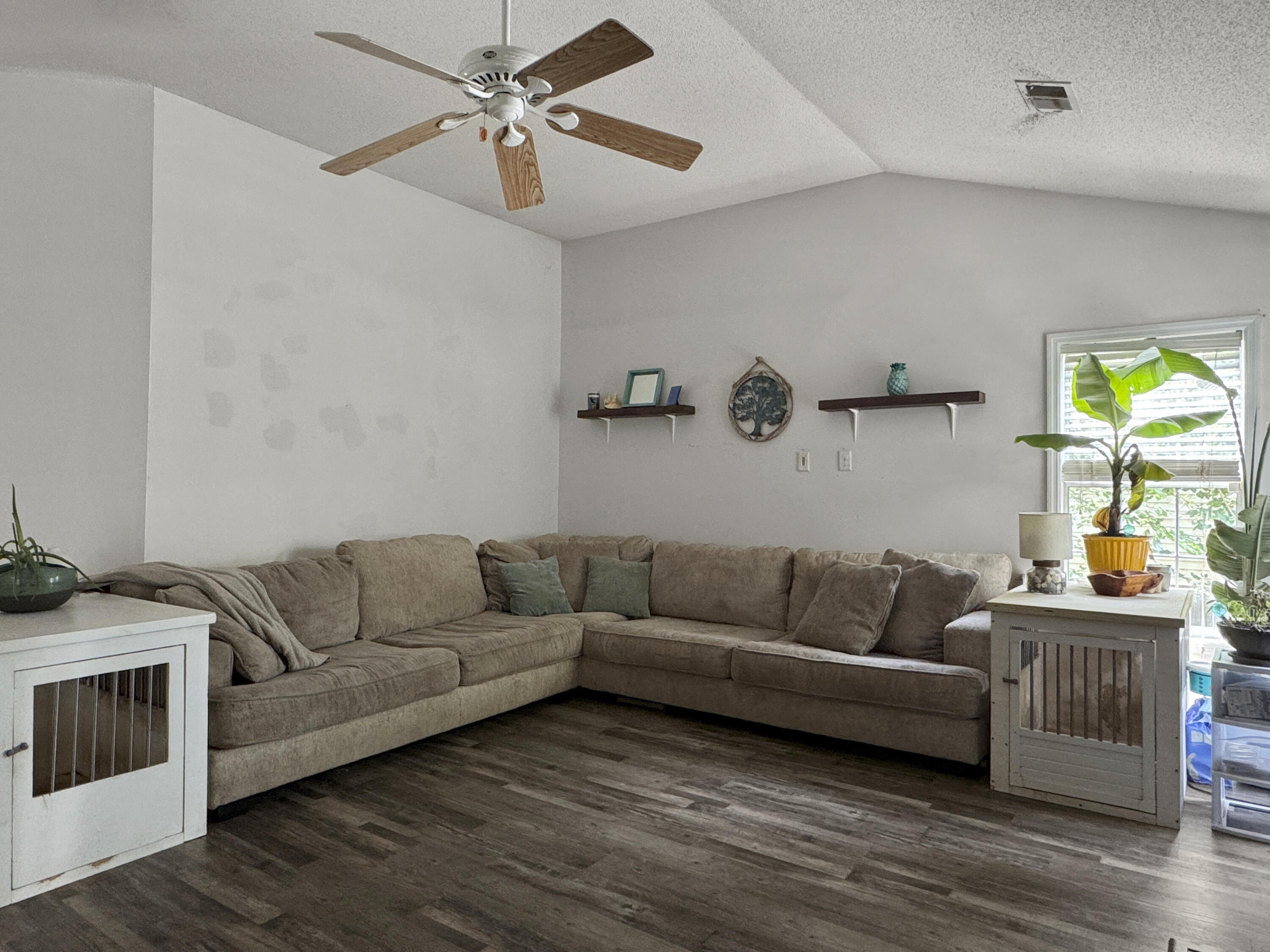 1317 Wild Olive Drive