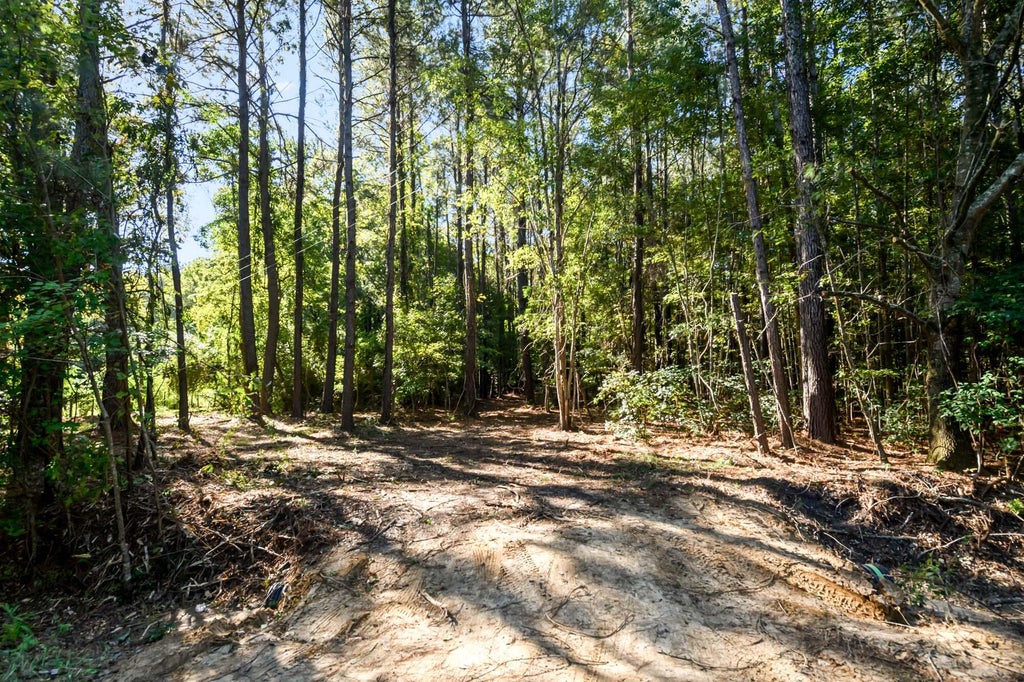 Photo of 3727 Humbert Road, Johns Island, SC 29455 (MLS # 26027381)