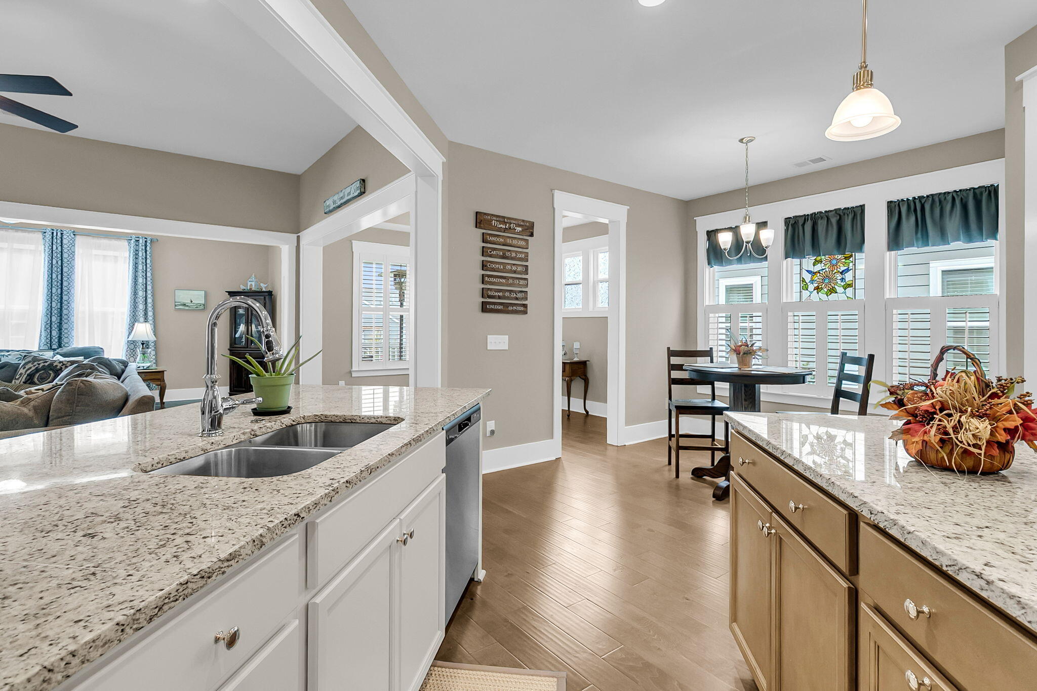 4029 Wood Violet Lane