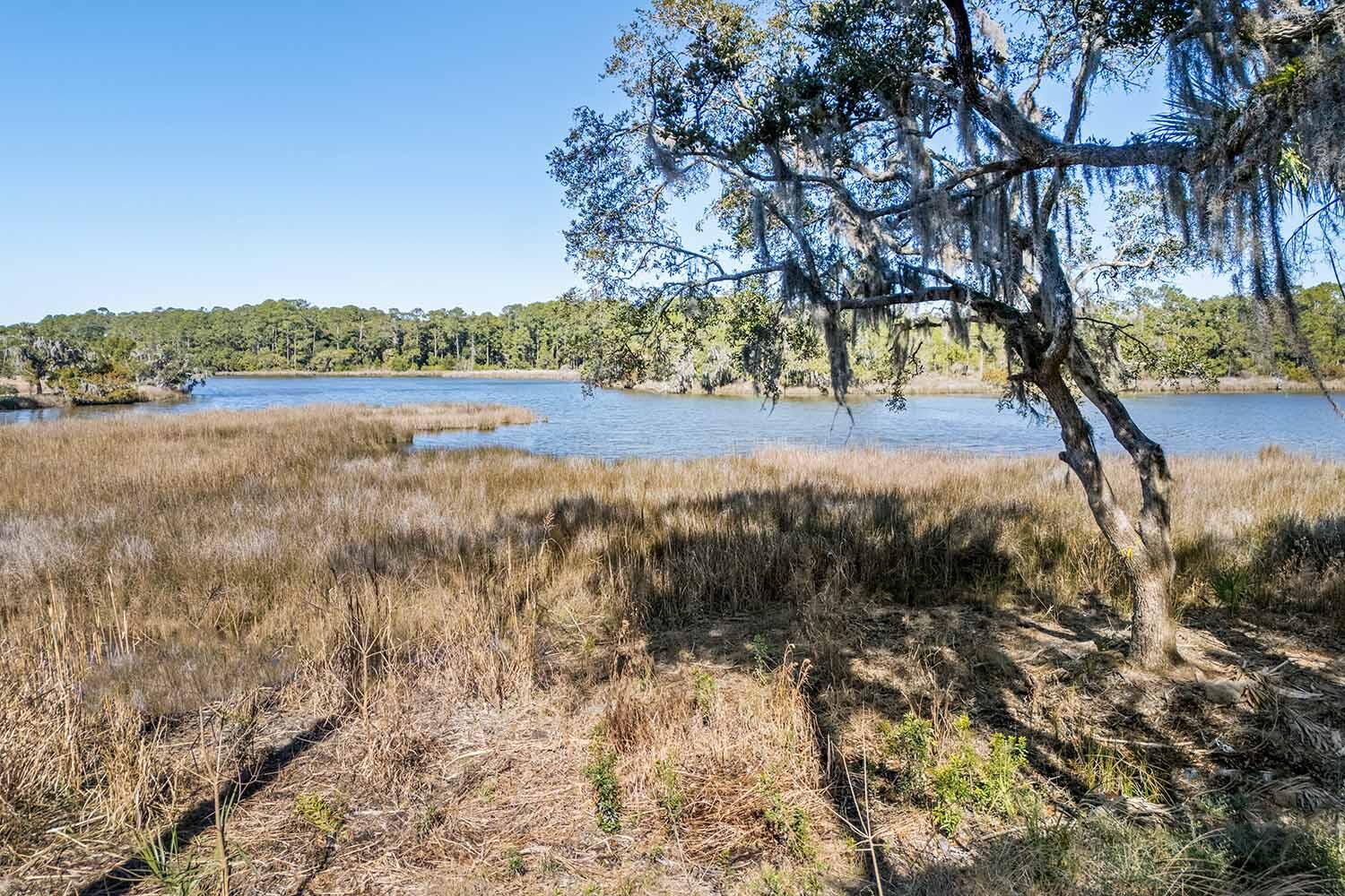 8111 Jack Island Drive