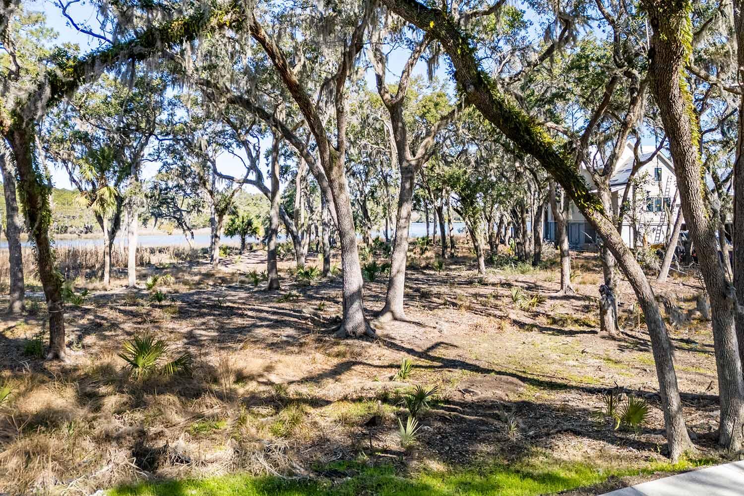 8111 Jack Island Drive