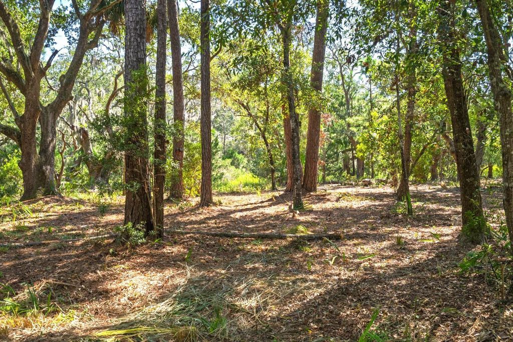 Photo of Lot 31 Foredeck Lane, Edisto Island, SC 29438 (MLS # 25027163)