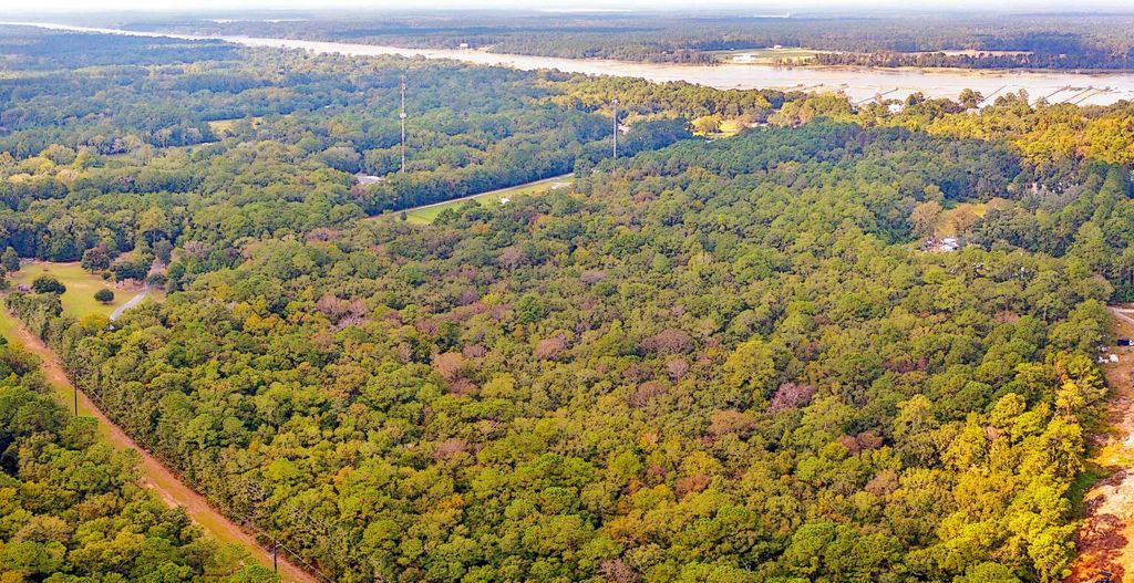 Photo of 0 Bohicket Road, Johns Island, SC 29455 (MLS # 24026293)