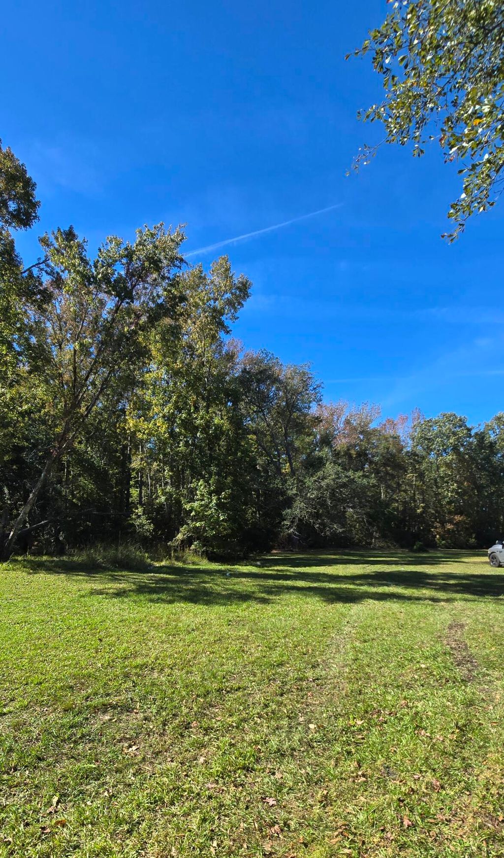 Photo of 5793 Mains Nursery Road, Hollywood, SC 29449 (MLS # 25029732)