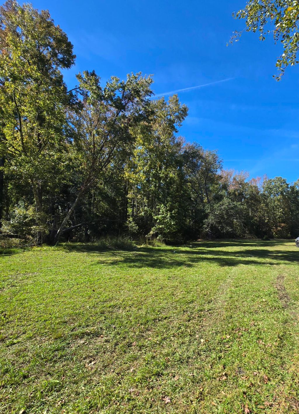 Photo of 5793 Mains Nursery Road, Hollywood, SC 29449 (MLS # 25029732)