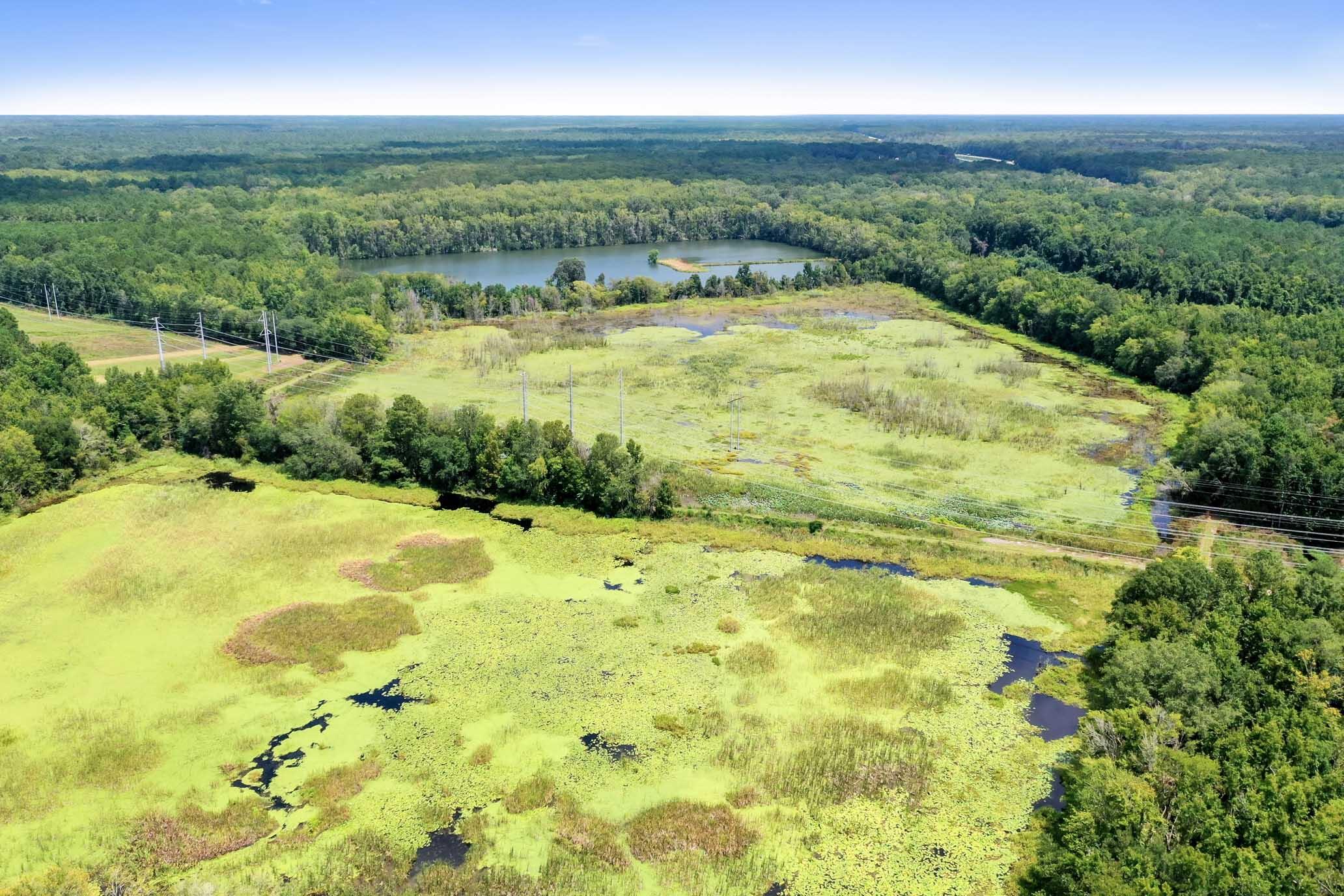 730 Taylor Mill Road