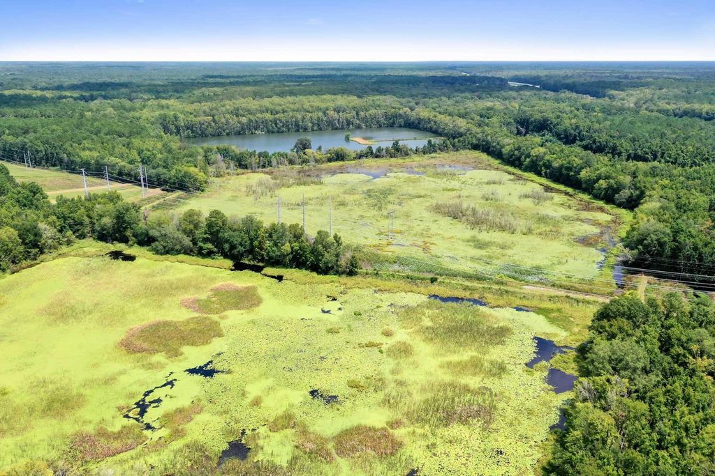 Photo of 730 Taylor Mill Road, Ridgeland, SC 29936 (MLS # 25032088)