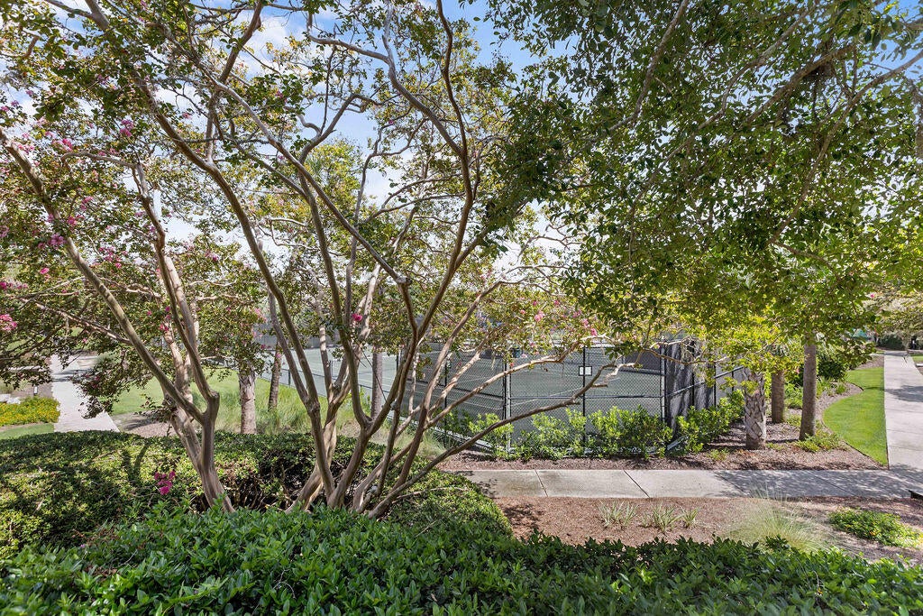 1615 Live Oak Park