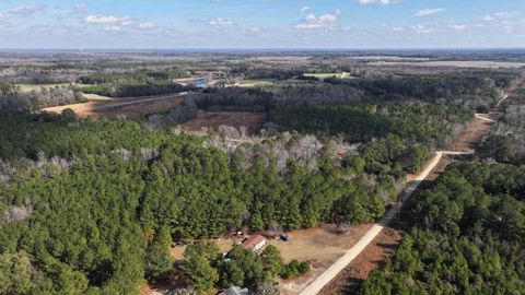 0 Snowy River Place Tract A Manning SC 29102