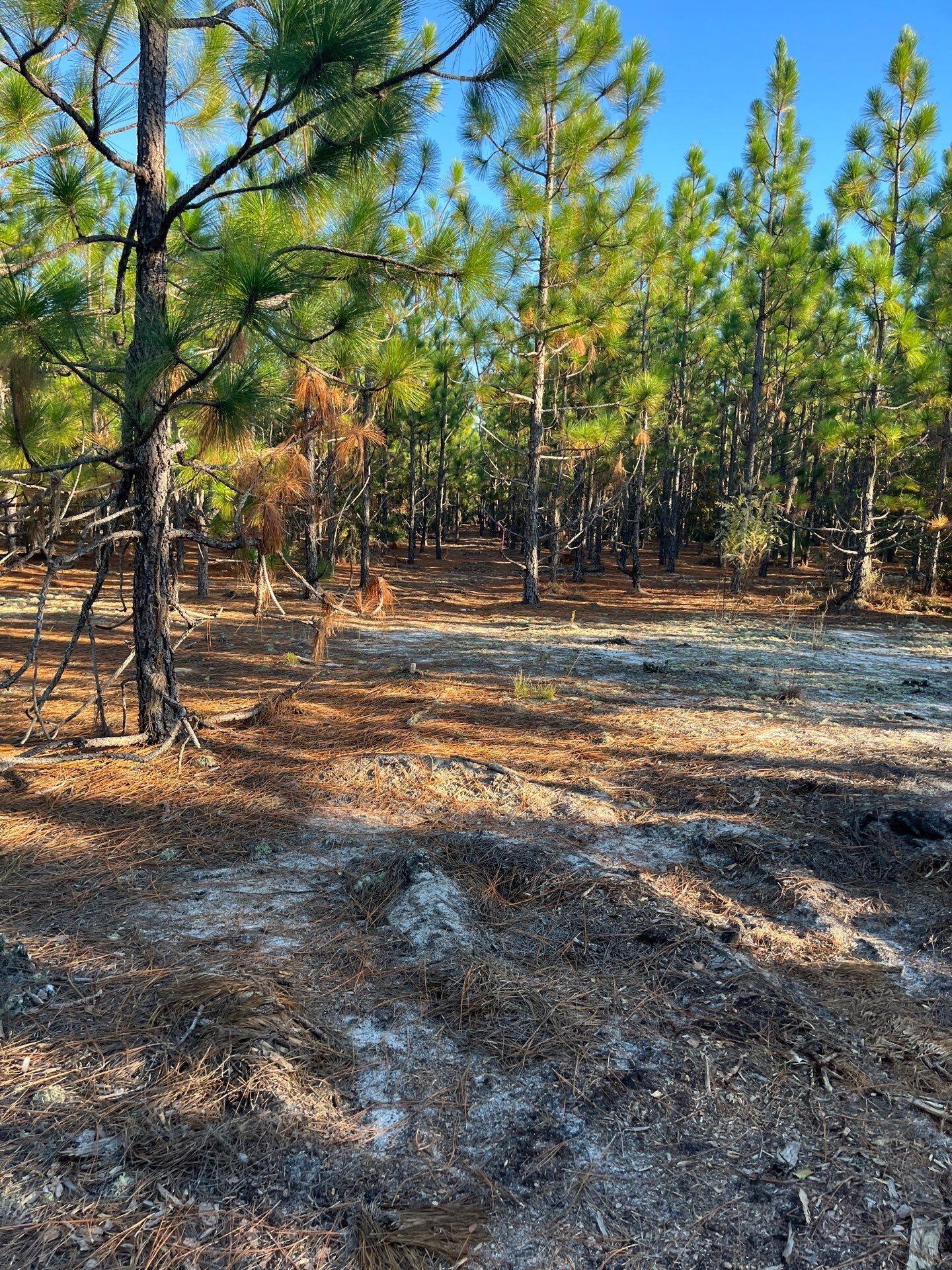 Ppf 17 Payne Pond Road Unit Ppf 17, Westville, SC, 29175